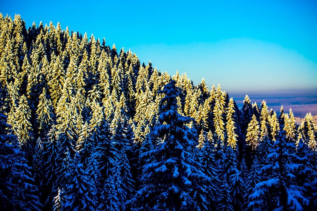 Sunny Hills Ski&Wellness Pamporovo Eksteriør billede