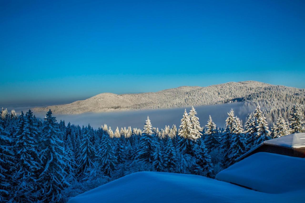 Sunny Hills Ski&Wellness Pamporovo Eksteriør billede