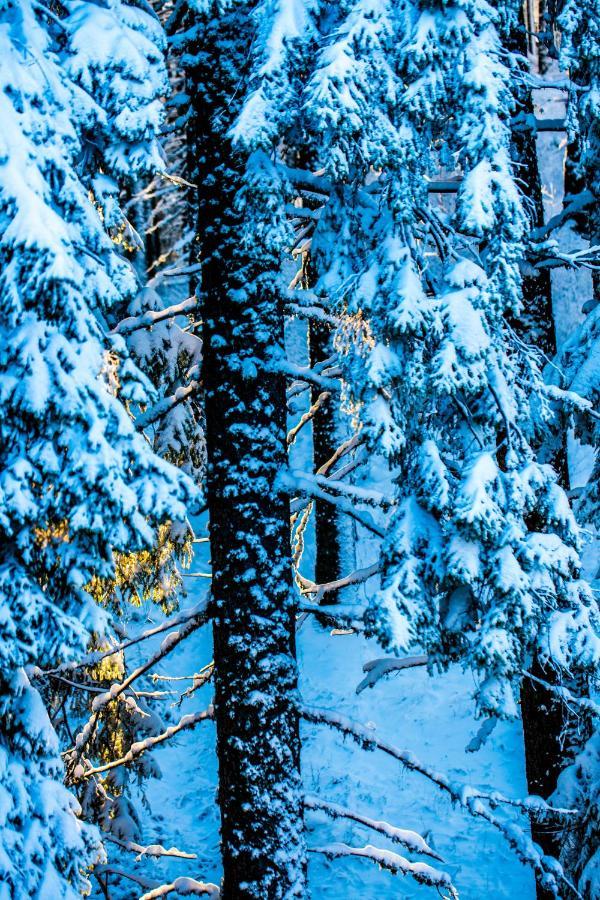 Sunny Hills Ski&Wellness Pamporovo Eksteriør billede