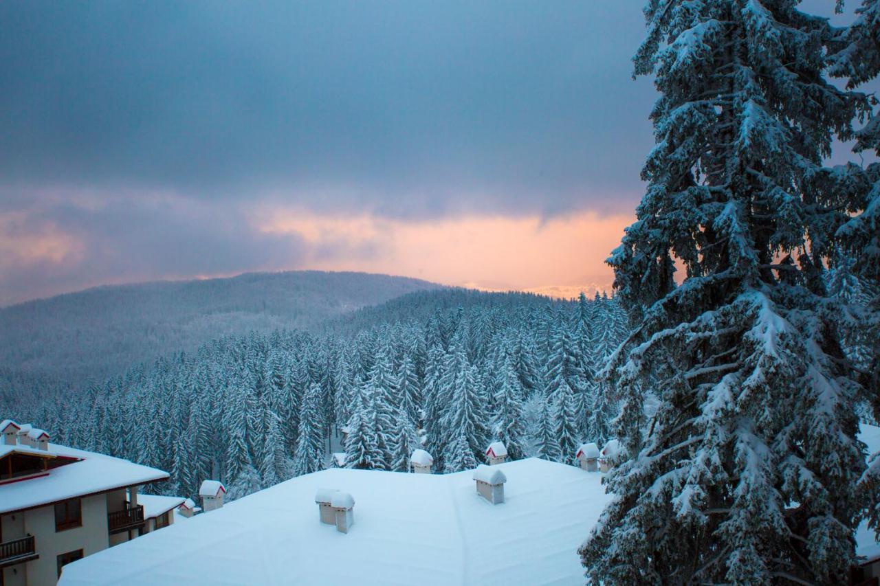 Sunny Hills Ski&Wellness Pamporovo Eksteriør billede