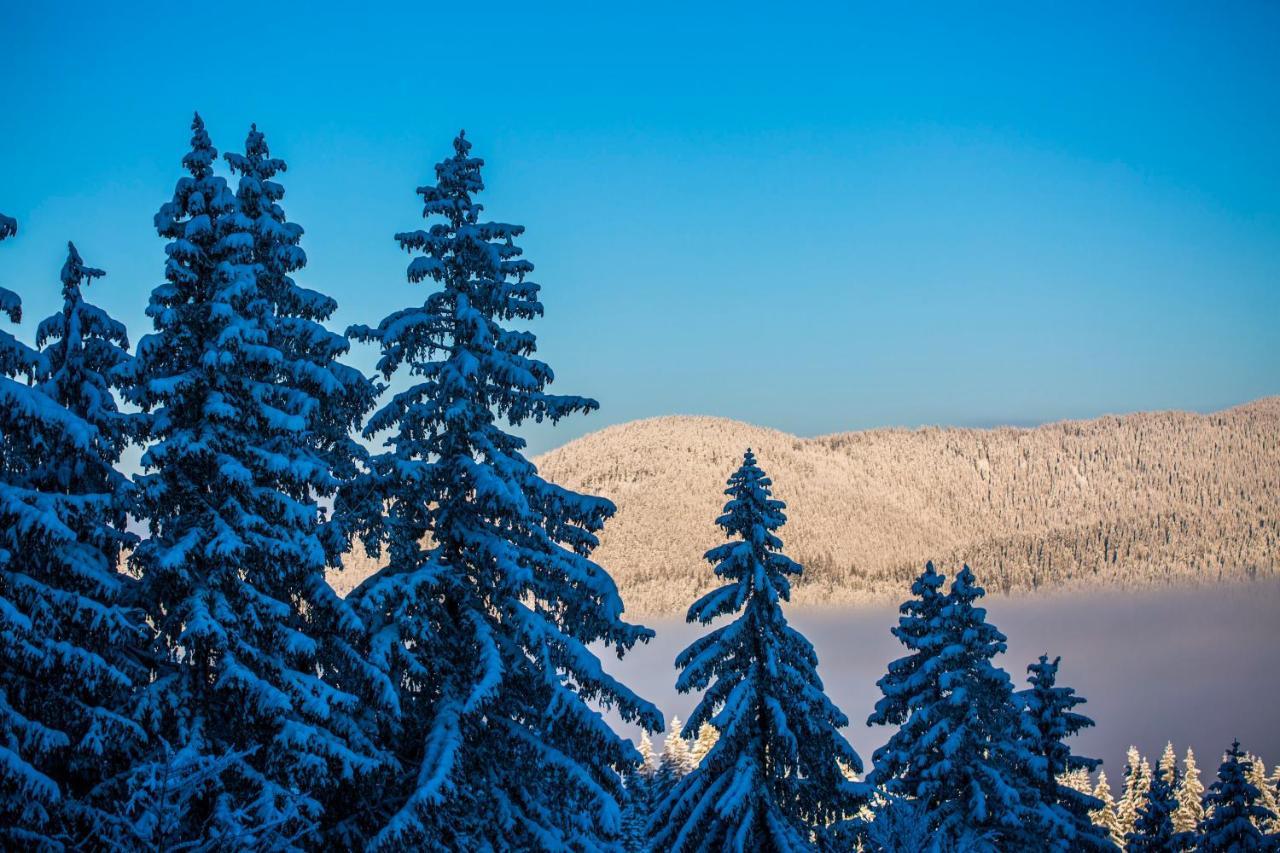 Sunny Hills Ski&Wellness Pamporovo Eksteriør billede