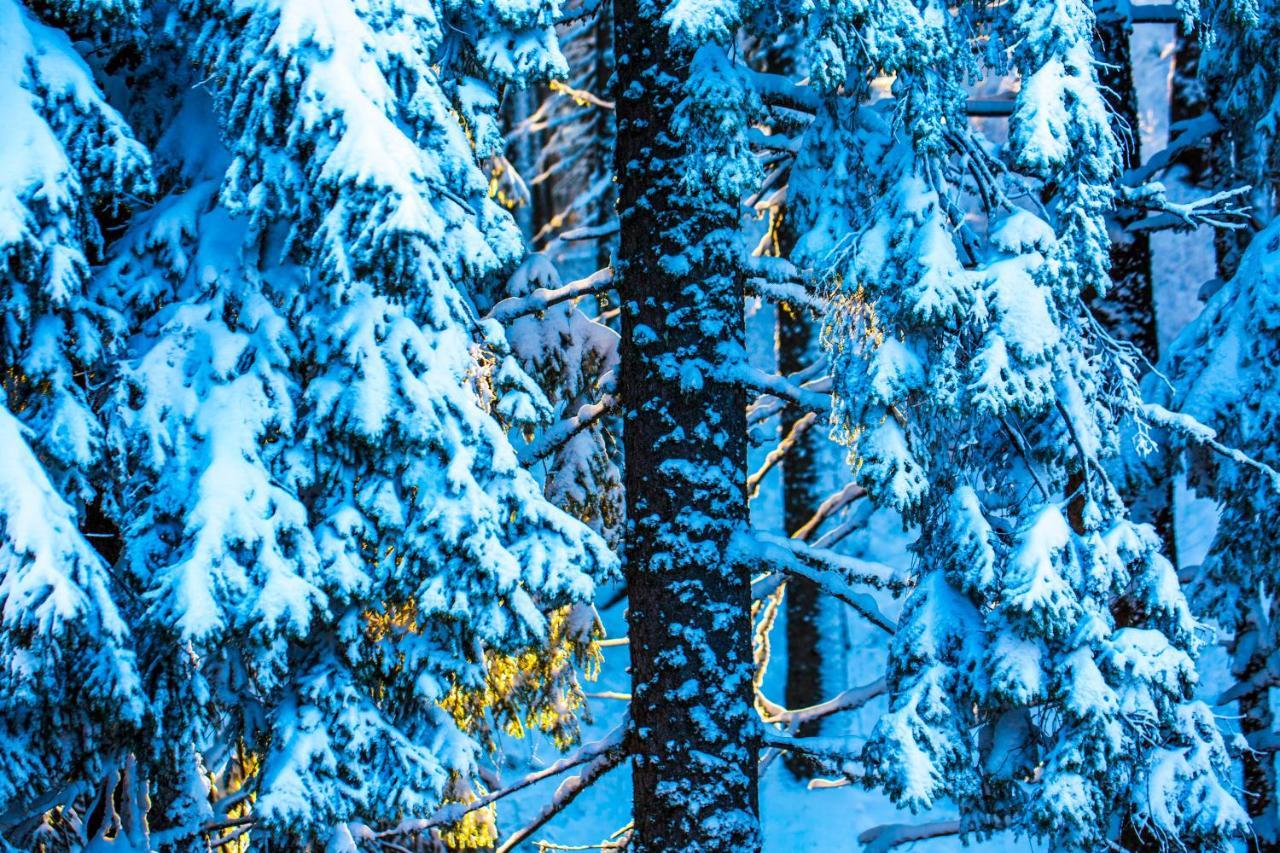 Sunny Hills Ski&Wellness Pamporovo Eksteriør billede