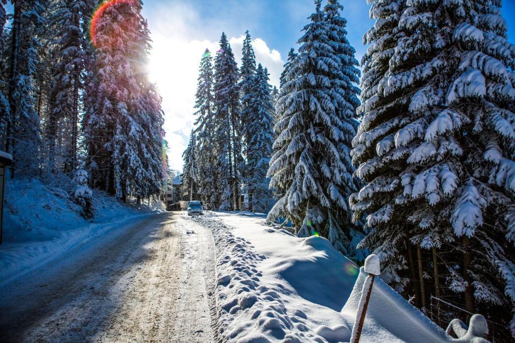 Sunny Hills Ski&Wellness Pamporovo Eksteriør billede