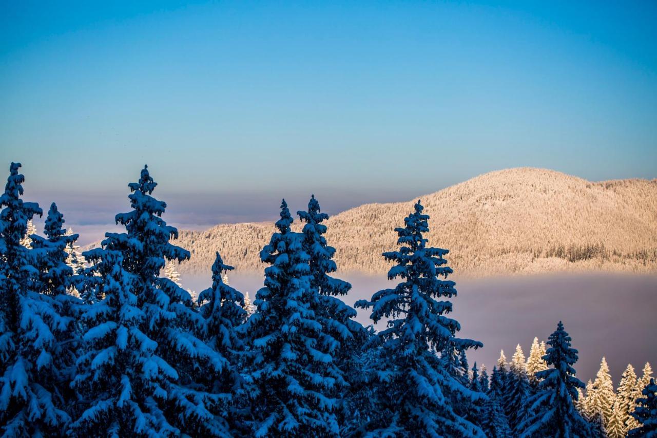 Sunny Hills Ski&Wellness Pamporovo Eksteriør billede