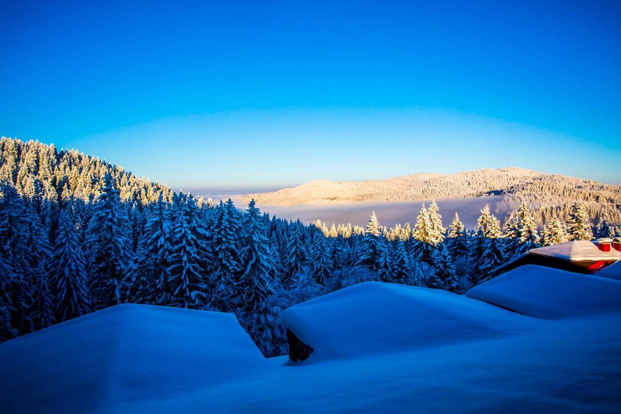 Sunny Hills Ski&Wellness Pamporovo Eksteriør billede