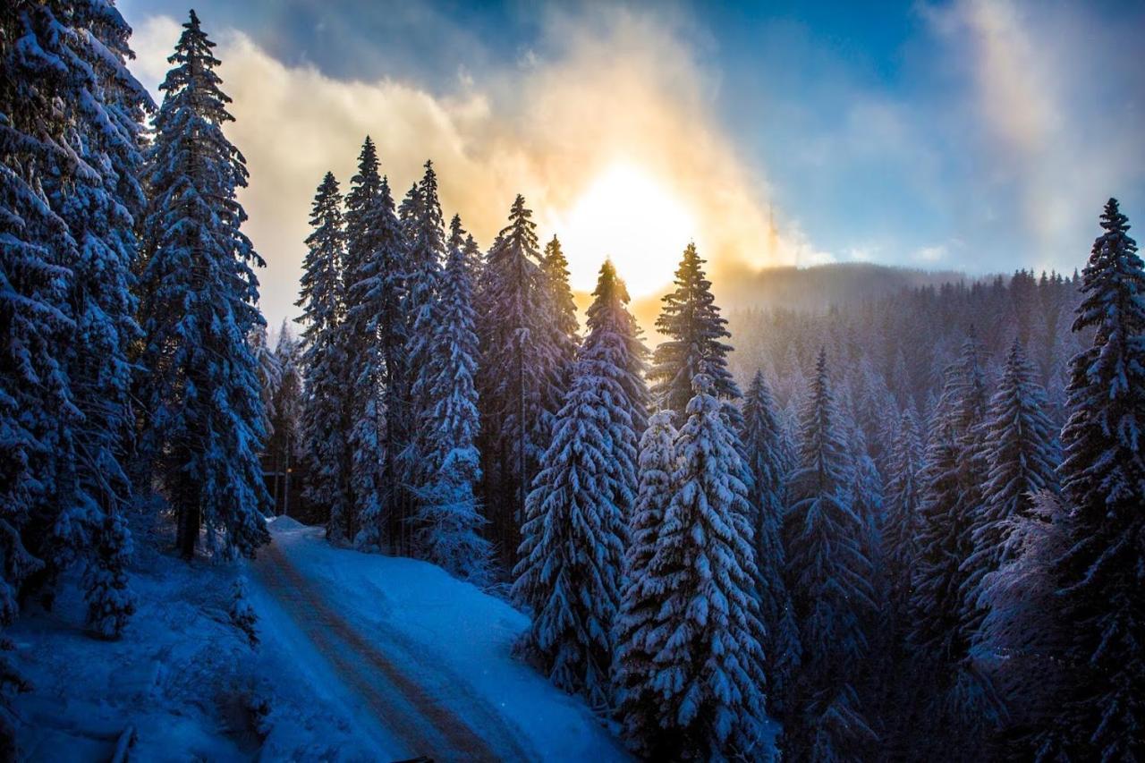 Sunny Hills Ski&Wellness Pamporovo Eksteriør billede